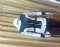 File 49429